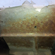 Illustration for article titled Attention 505turbeux: This rust is for you